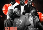 DJ BesTmix - Vibes Sounds Mixtape