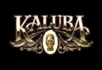 Mayorkun - Kaluba