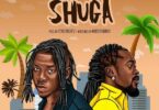Stonebwoy - Shuga ft. Beenie Man