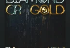 Tml Vibez - Diamond or Gold