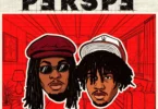 Young Legend ft Joeboy & Fxrtune - Perspe